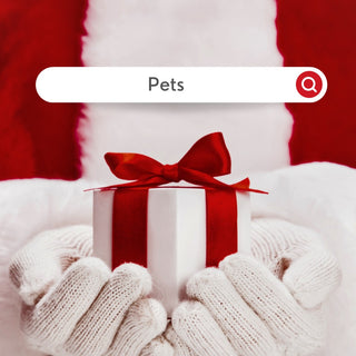 Holiday - Pets